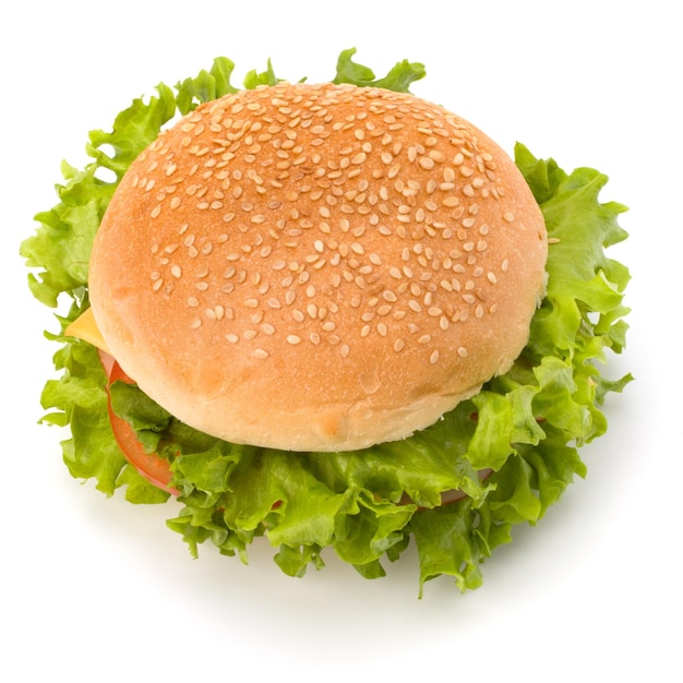 Hamburger de malbouffe