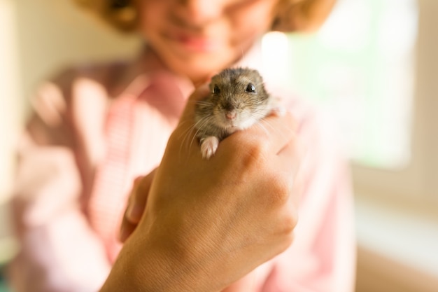 Hamster gris Dzungarian dans les mains de son petit propriétaire