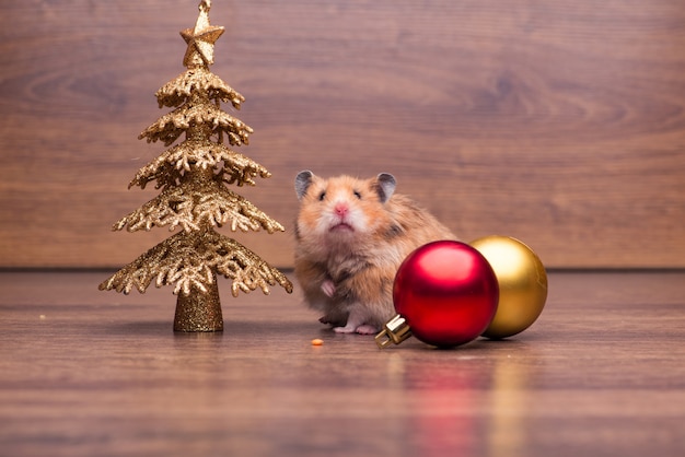 Hamster mignon avec Bonnet de Noel sur la table