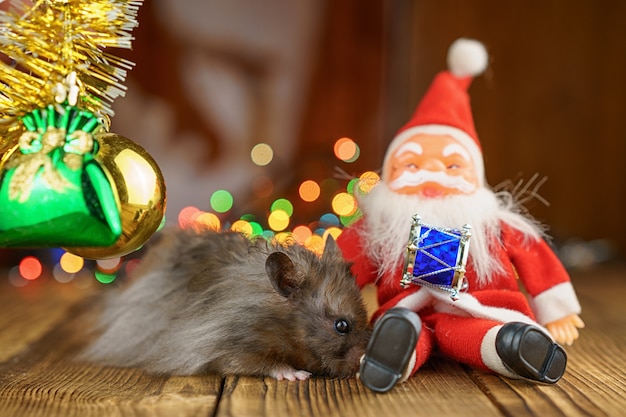 Photo hamster moelleux avec le père noël sur un beau fond de bokeh