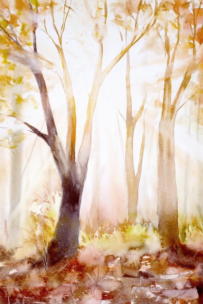 HandDrawn Aquarelle Automne Illustration Forêt Ensoleillée