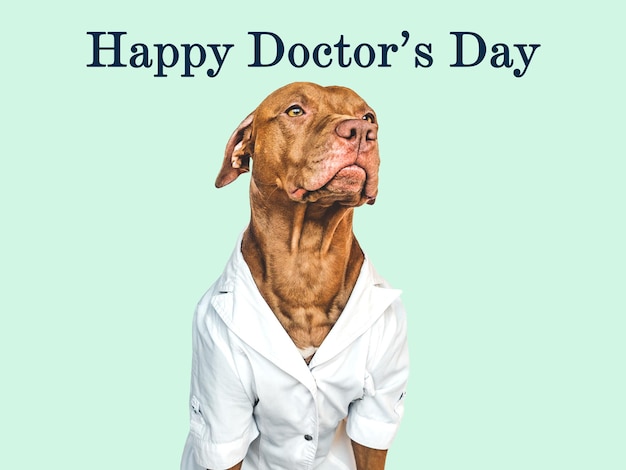 Happy Doctor's day Adorable joli chiot Gros plan
