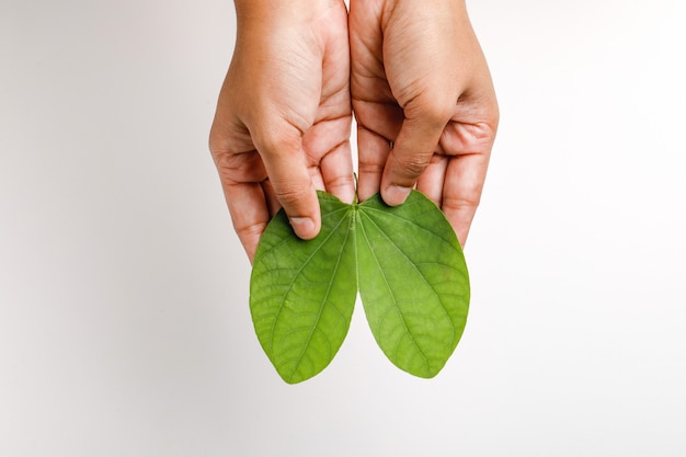 Happy Dussehra avec feuille verte à la main