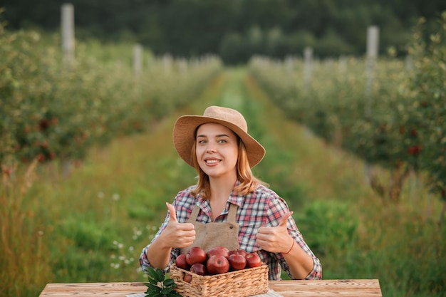 Happy smiling agricultrice ouvrière cueillant des pommes fraîches mûres dans le verger pendant la récolte d'automne Temps de récolte