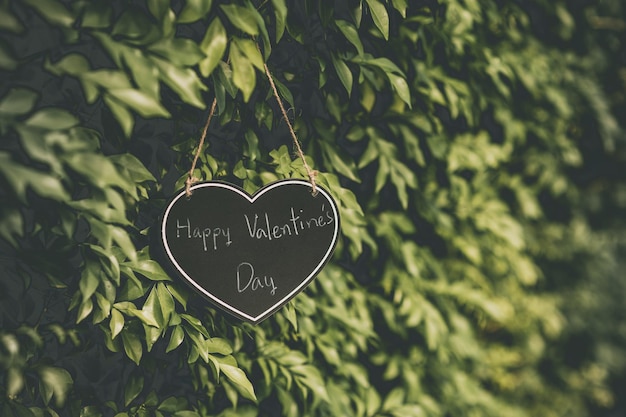 Happy Valentines Day Heart Sign se bloque sur un arbre vert naturel le jour de la Saint-Valentin