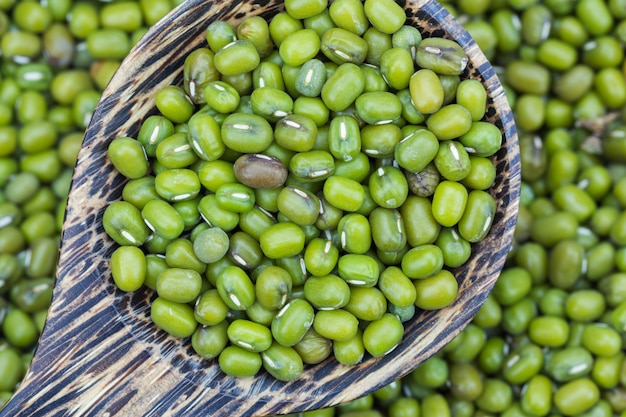 Haricot vert ou haricot mungo