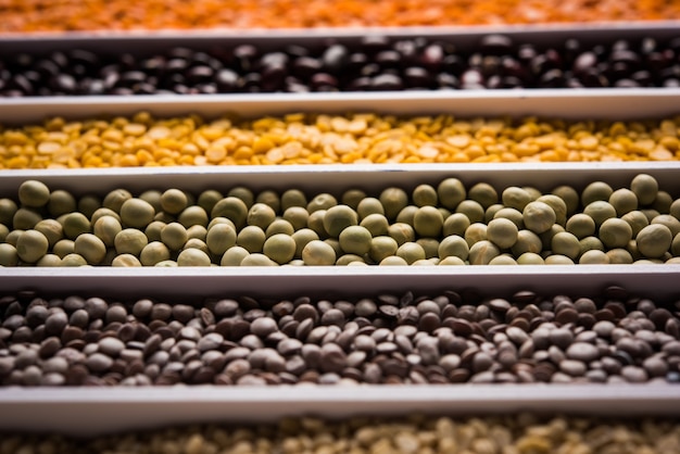 Haricots indiens, légumineuses, lentilles, grains de riz et de blé dans une boîte blanche avec cellules ou bandes, mise au point sélective.