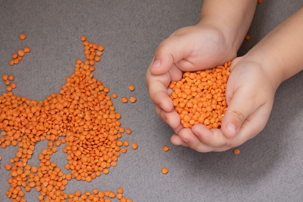 Haricots lentilles dans les mains des enfants, vue de dessus