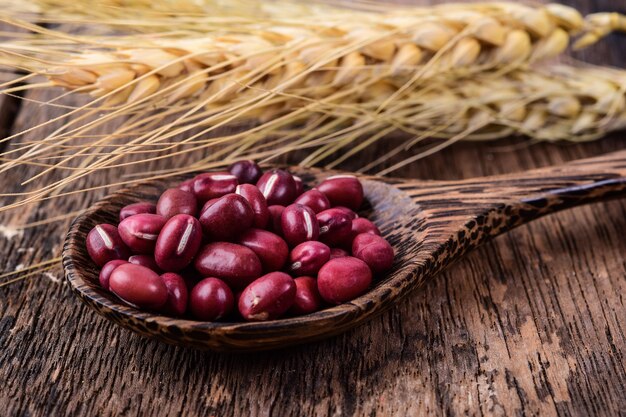 Haricots rouges dans une cuillère en bois