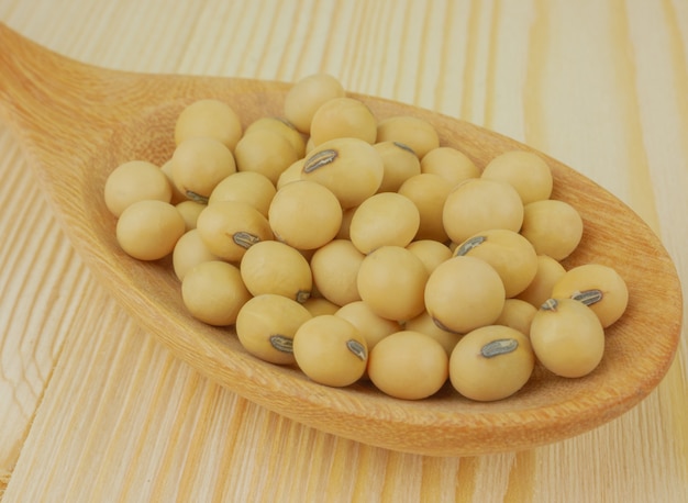 haricots de soja macro dans une cuillère en bois