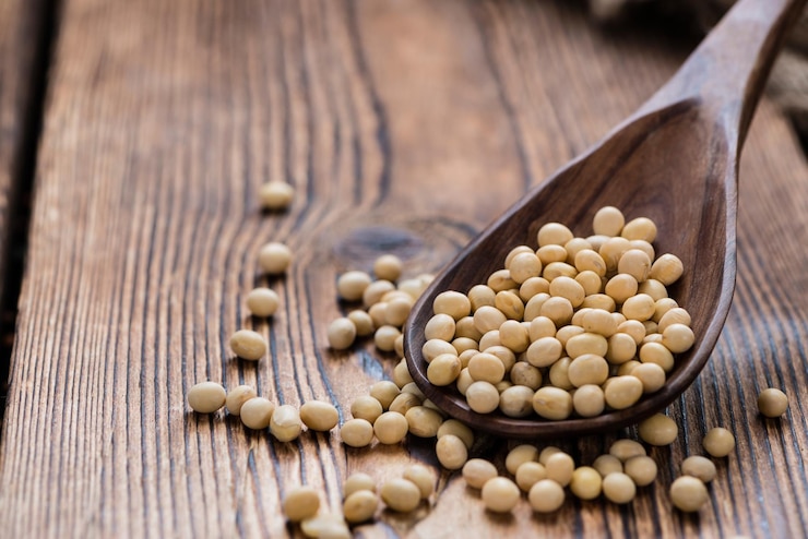 Photo les haricots de soja