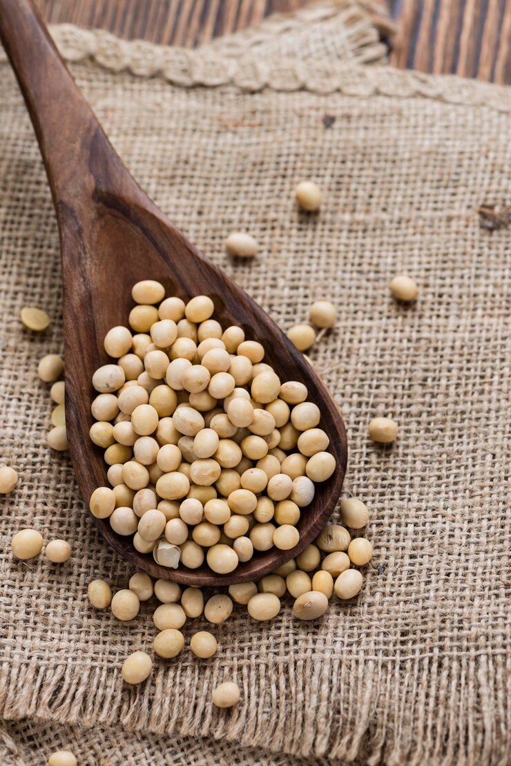 Photo les haricots de soja