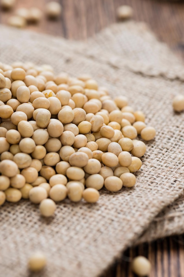 Photo les haricots de soja