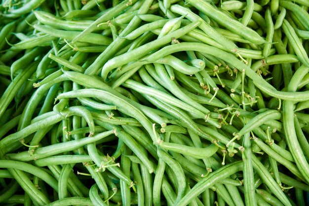 Photo haricots verts frais