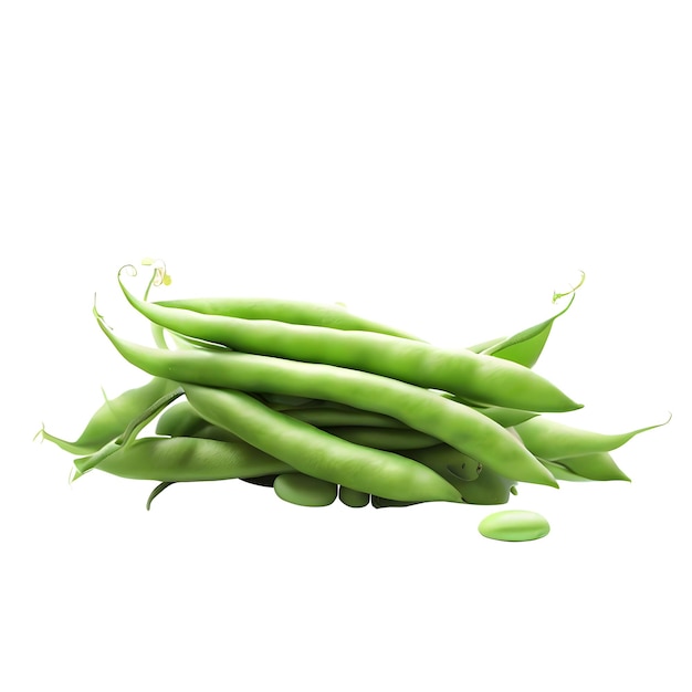 haricots verts pois légumes