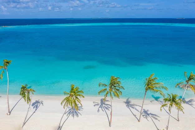 Haut drone aérien vue belle plage palmiers côte tropicale lagon été nature paysage