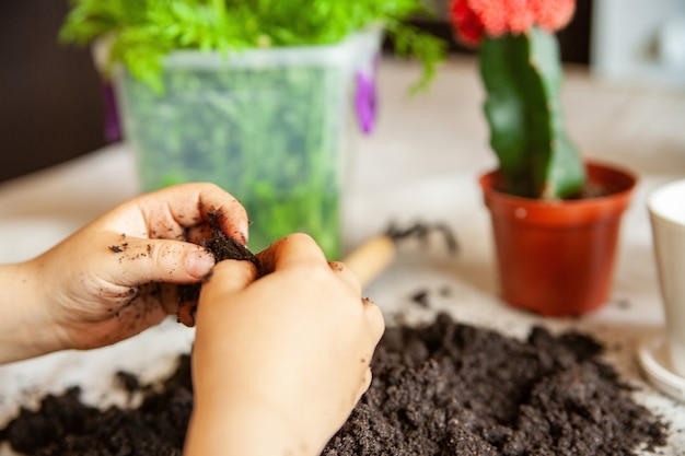 D'en haut, un enfant anonyme jouant avec un tas de terre fertile sur une nappe blanche près de plantes et de pots naturels