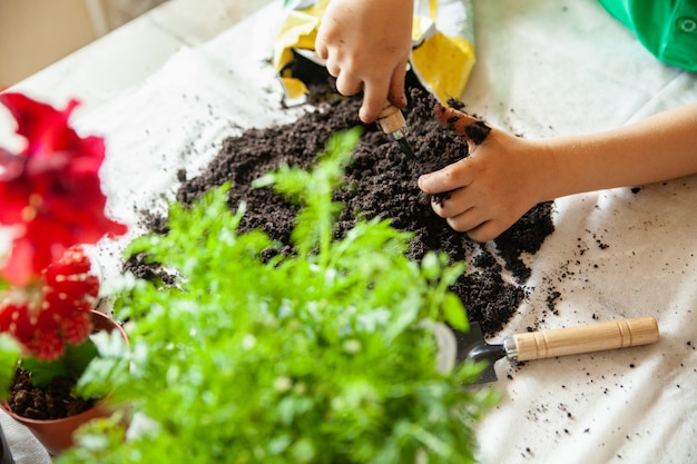 D'en haut, un enfant anonyme jouant avec un tas de terre fertile sur une nappe blanche près de plantes et de pots naturels