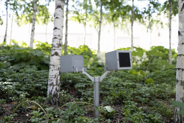 Haut-parleurs dans une forêt de bouleaux artificiels