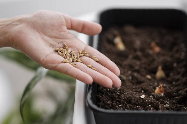 haute angle femme tenant des graines plantant avec un pot de haute qualité beau concept de photo