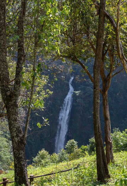 Haute cascade de la montagne.