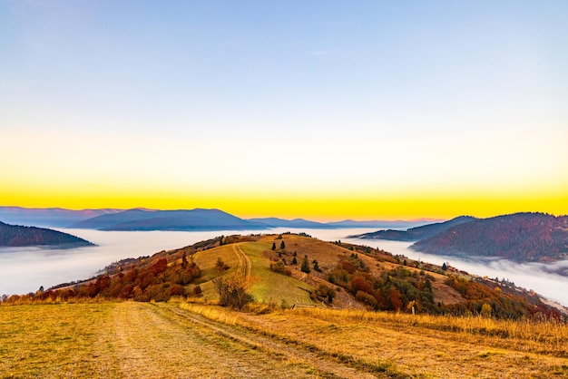 Haute colline avec des arbres colorés luxuriants et de l'herbe jaune sèche contre une gorge profonde couverte d'un épais brouillard sous un ciel bleu rose en automne