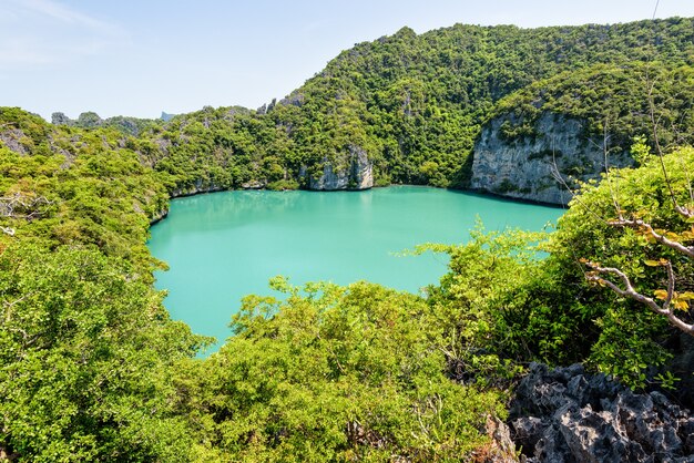 Haute vue sur Thale Nai ou Blue Lagoon green sea au milieu de la montagne à Mu Ko Ang Thong Thaïlande