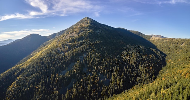 Hautes collines avec des pinèdes sombres le jour lumineux d'automne Paysage incroyable de bois de montagne sauvage