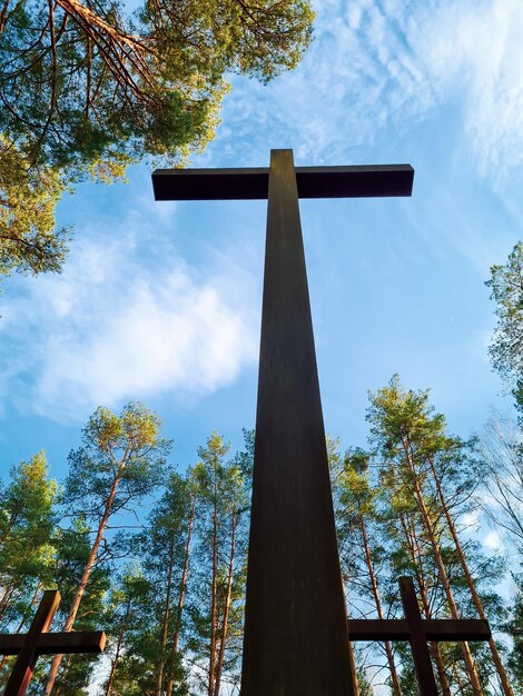 De hautes croix parmi les arbres au cimetière militaire polonais Mémorial de la Seconde Guerre mondiale