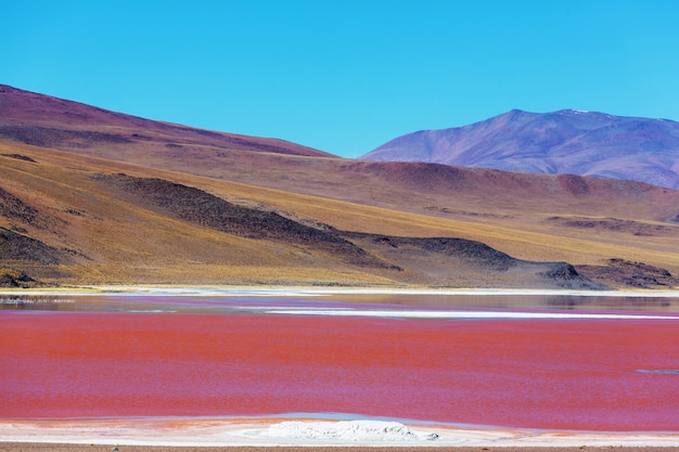 Hautes montagnes enneigées en Bolivie