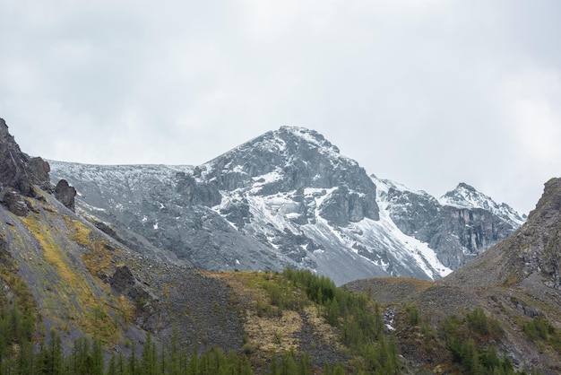 Hautes montagnes moussues avec des arbres contre un grand sommet de montagne enneigé avec des rochers pointus dans des nuages bas pluvieux Vue spectaculaire sur le flanc de la forêt et les montagnes enneigées dans un ciel gris nuageux par temps changeant