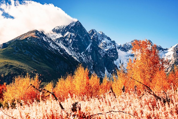 Hautes Tatras enneigées avec des arbres d'automne colorés Randonnée du lac zelene au cottage plesnivec près de la montagne Belianske Tatry Slovaquie