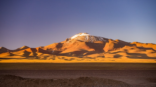 Hautes terres arides des Andes