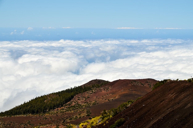 Hauts nuages au-dessus de la forêt d'arbres de cône de pin dans l'île de Ténérife