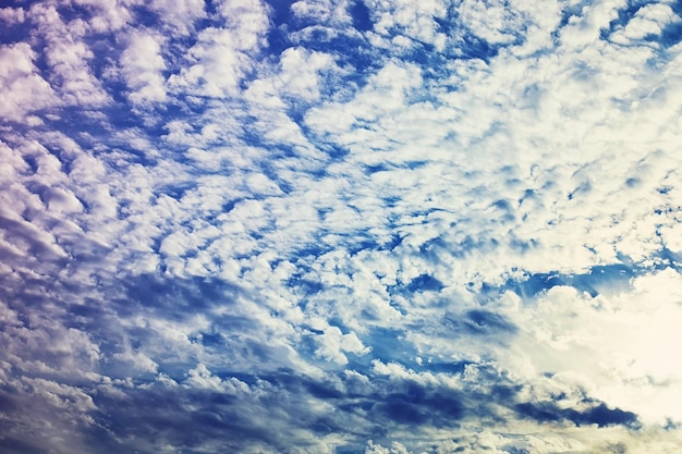 De hauts nuages dans le ciel d'été. Fond de ciel. Observations météorologiques du ciel.