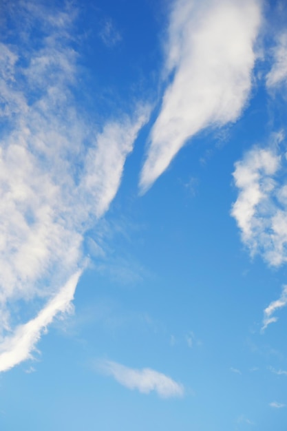 Hauts nuages dans le ciel d'été Fond de ciel Observations météorologiques du ciel