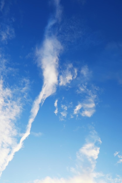 Hauts nuages dans le ciel d'été Fond de ciel Observations météorologiques du ciel