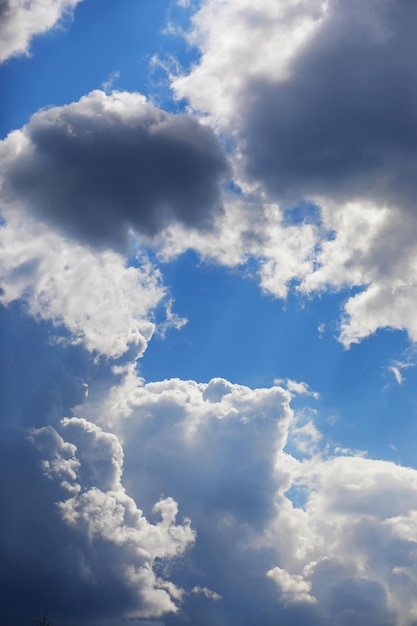 Hauts nuages dans le ciel d'été Fond de ciel Observations météorologiques du ciel