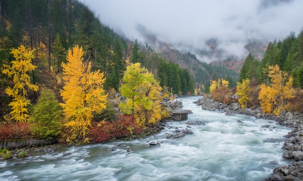 Hdr D'automne Avec Le Brouillard Sur La Montagne à Leavenworth