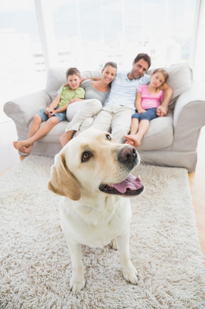 Héhé, assis sur un canapé avec leur animal de compagnie jaune labrador sur le tapis