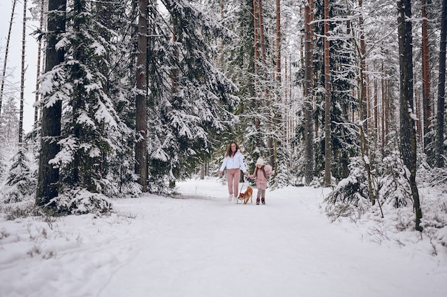 Héhé, jeune mère et petite fille mignonne en vêtements chauds roses marchant s'amusant avec un chien shiba inu rouge dans la forêt d'hiver froid blanc neigeux à l'extérieur. Activités de vacances sportives en famille.