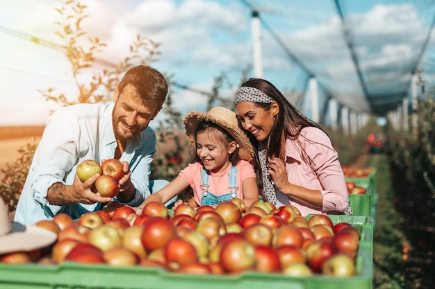 Héhé, profitant ensemble de la cueillette des pommes dans le verger.