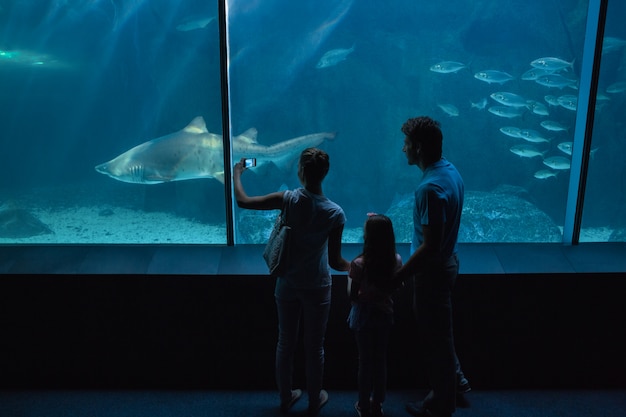 Héhé, regardant l&#39;aquarium