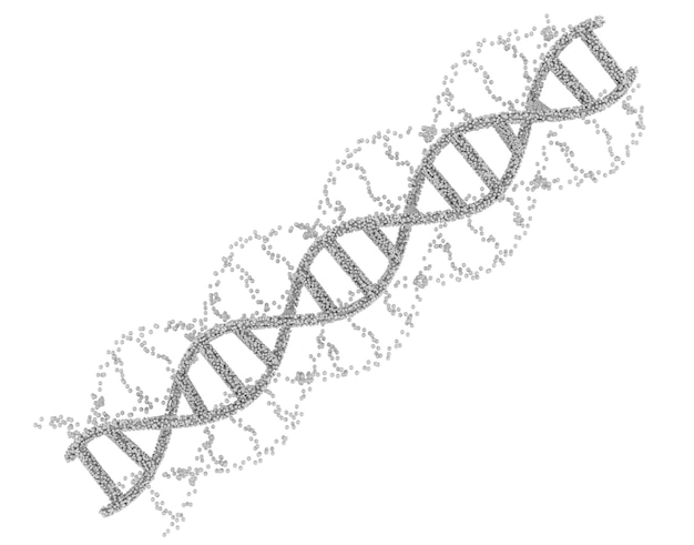 hélice d'adn blanche de rendu 3d ou structure d'adn