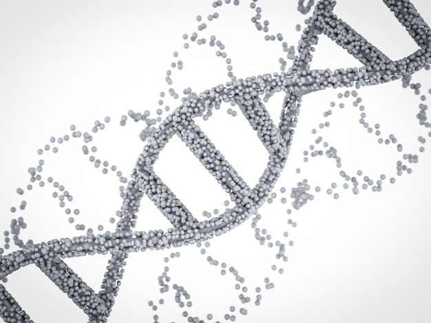 Photo hélice d'adn blanche de rendu 3d ou structure d'adn