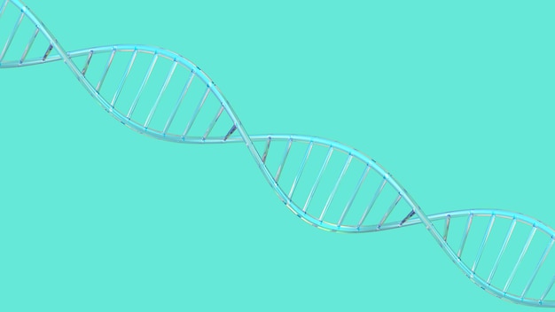 Hélice ADN isolé sur fond rendu d'illustration 3d