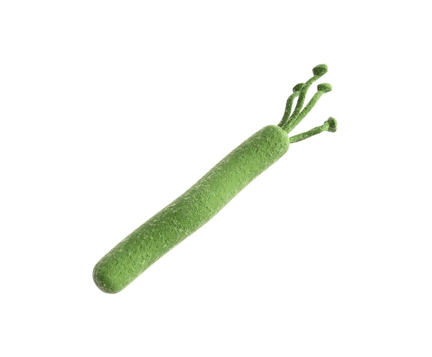 Photo hélicobacter pylori image rendue en 3d sur blanc