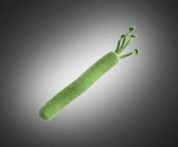 Photo helicobacter pylori image rendue en 3d sur le gris