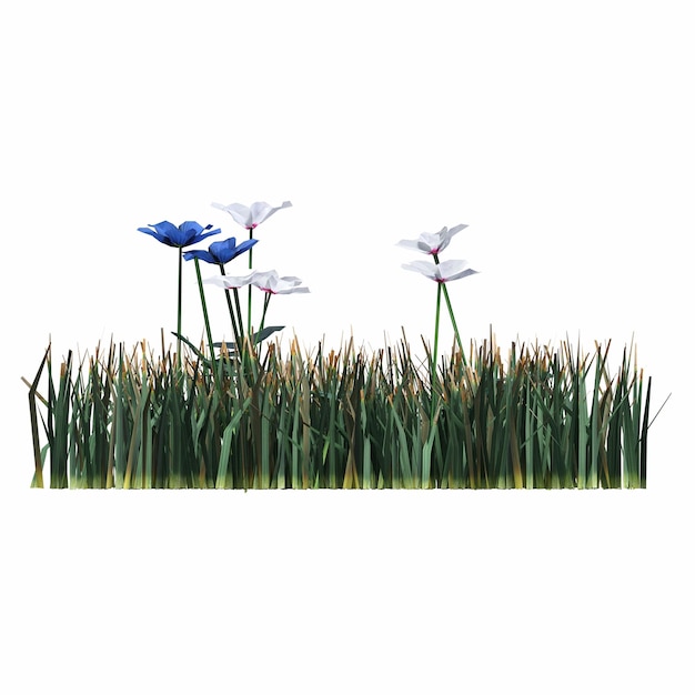 herbe de champ sauvage, isolée sur fond blanc, illustration 3D, rendu cg