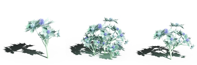 herbe de champ sauvage, isolée sur fond blanc, illustration 3D, rendu cg